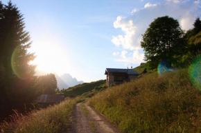 Tabià di Francesca - fienile tra le montagne silenziose Comelico Superiore